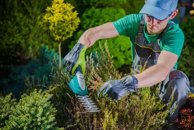 landscaping services Cankton